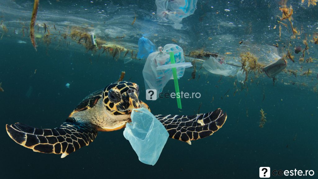 Ocean poluat cu obiecte de plastic