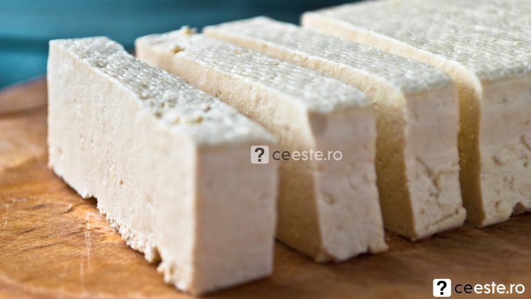 Ce este tofu si ce contine