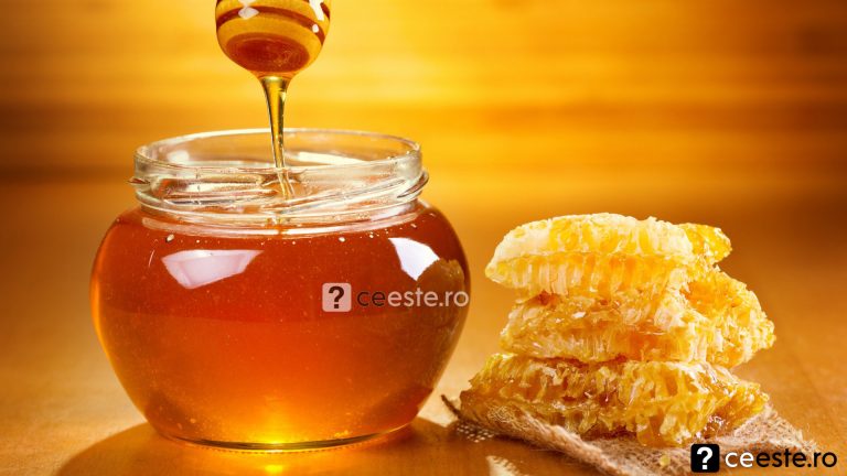 Ce este mierea de mana si ce proprietati are
